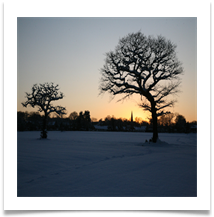 Winter2 - Steve Kinder